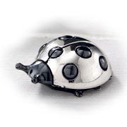209an_resina_argentata_coccinella
