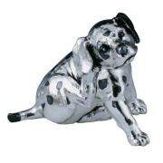 231n_resina_argentata_cucciolo_dalmata