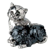 294n_resina_argentata_gattini