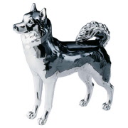 355n_resina_argentata_husky_cane
