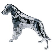 356n_resina_argentata_setter